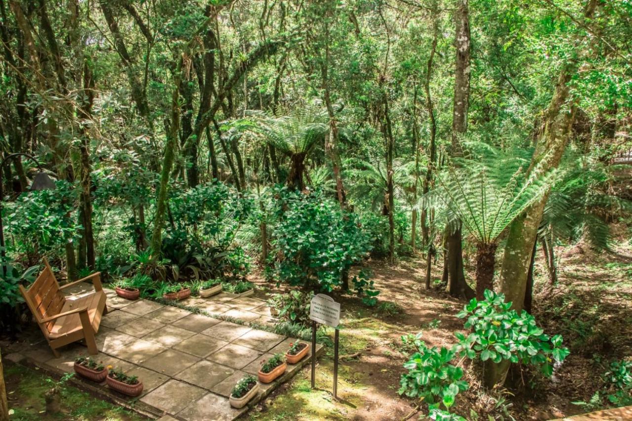 Hotel Pousada Cozumel Sierra Canela Dış mekan fotoğraf